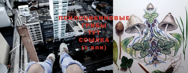 Альфа ПВП Горно-Алтайск