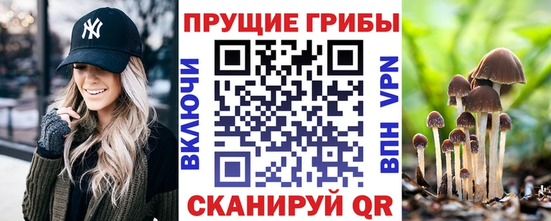 Галлюциногенные грибы MAGIC MUSHROOMS  Купить закладки  Касли 